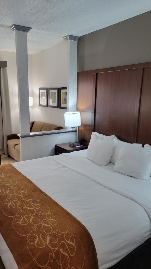 Comfort Suites Cumming-Atlanta Near Northside Hospital Forsyth Экстерьер фото