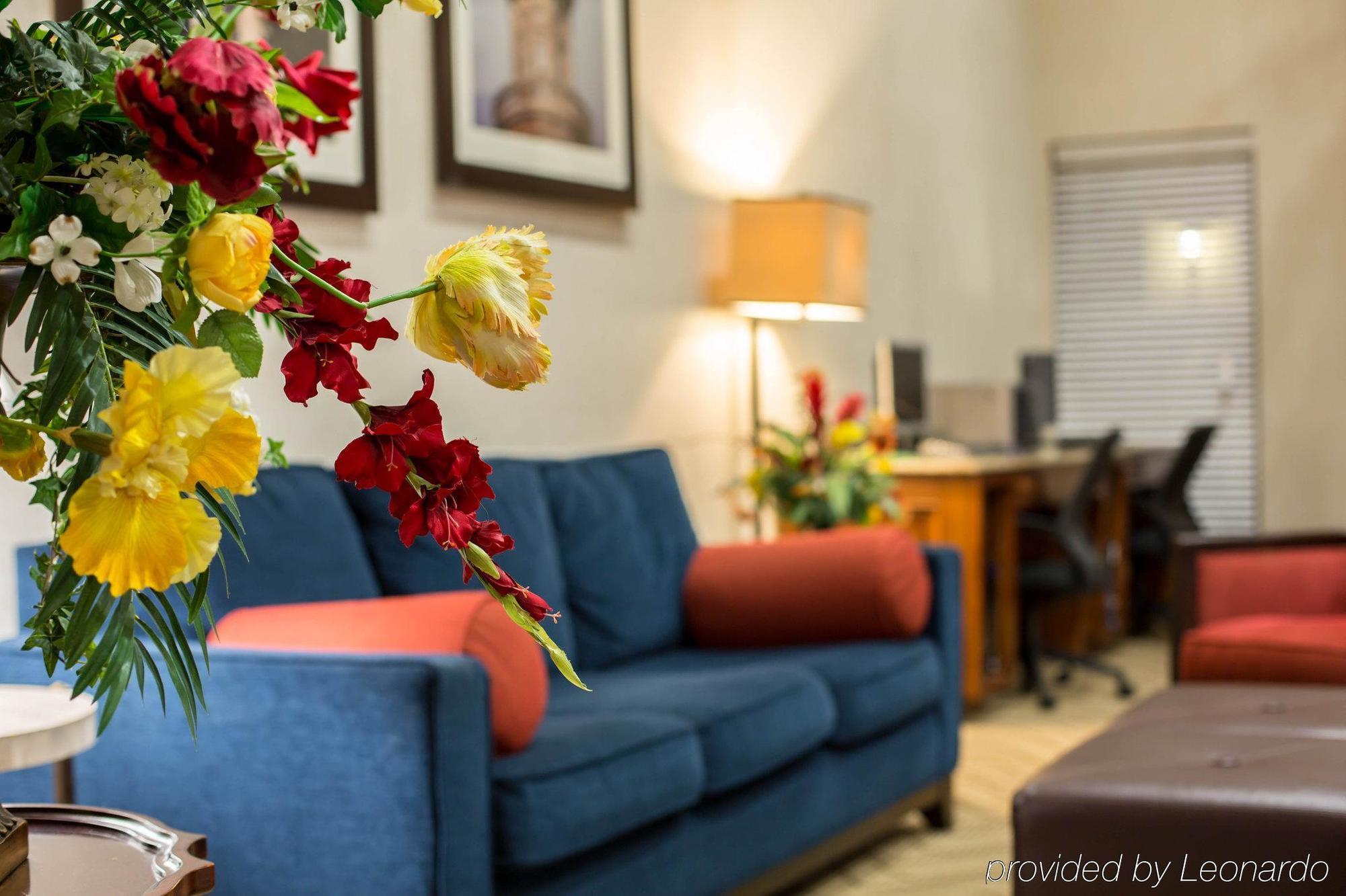 Comfort Suites Cumming-Atlanta Near Northside Hospital Forsyth Экстерьер фото